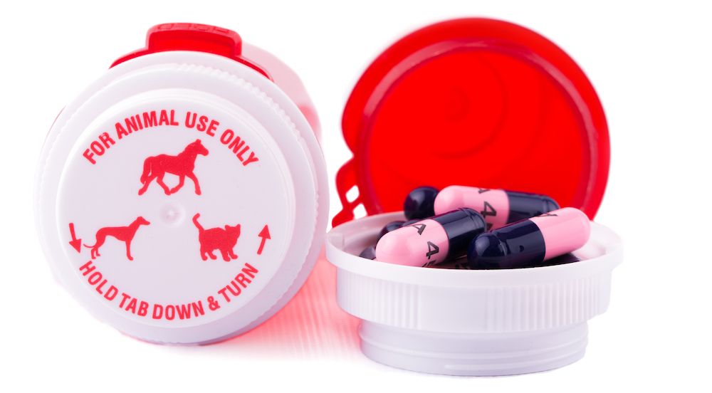 The Gossip Column: February 9, 2024